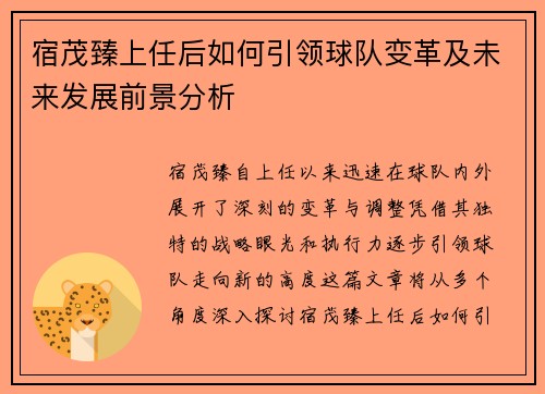 宿茂臻上任后如何引领球队变革及未来发展前景分析