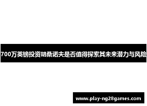 700万英镑投资胡桑诺夫是否值得探索其未来潜力与风险
