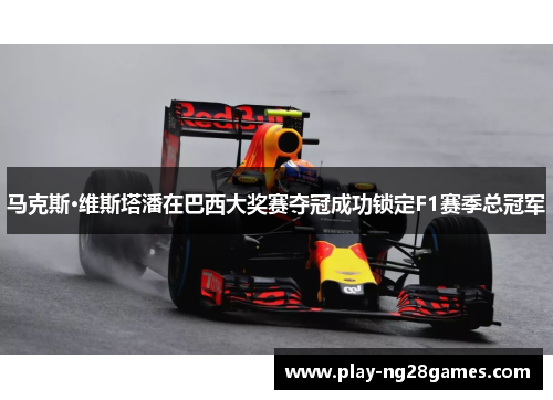 马克斯·维斯塔潘在巴西大奖赛夺冠成功锁定F1赛季总冠军