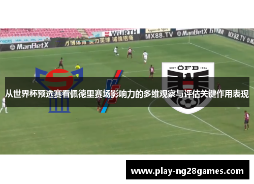 从世界杯预选赛看佩德里赛场影响力的多维观察与评估关键作用表现