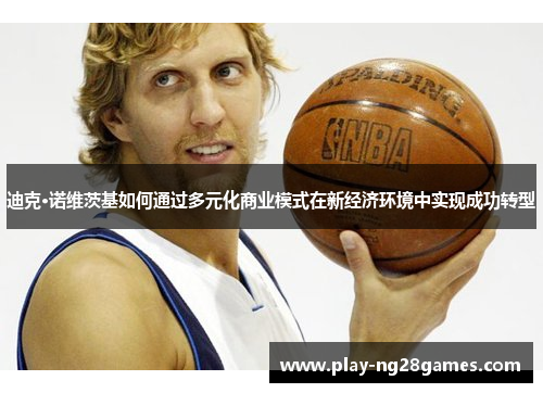 迪克·诺维茨基如何通过多元化商业模式在新经济环境中实现成功转型